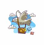 鸽子传书