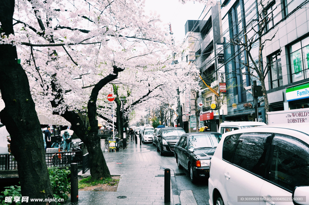 都市风景
