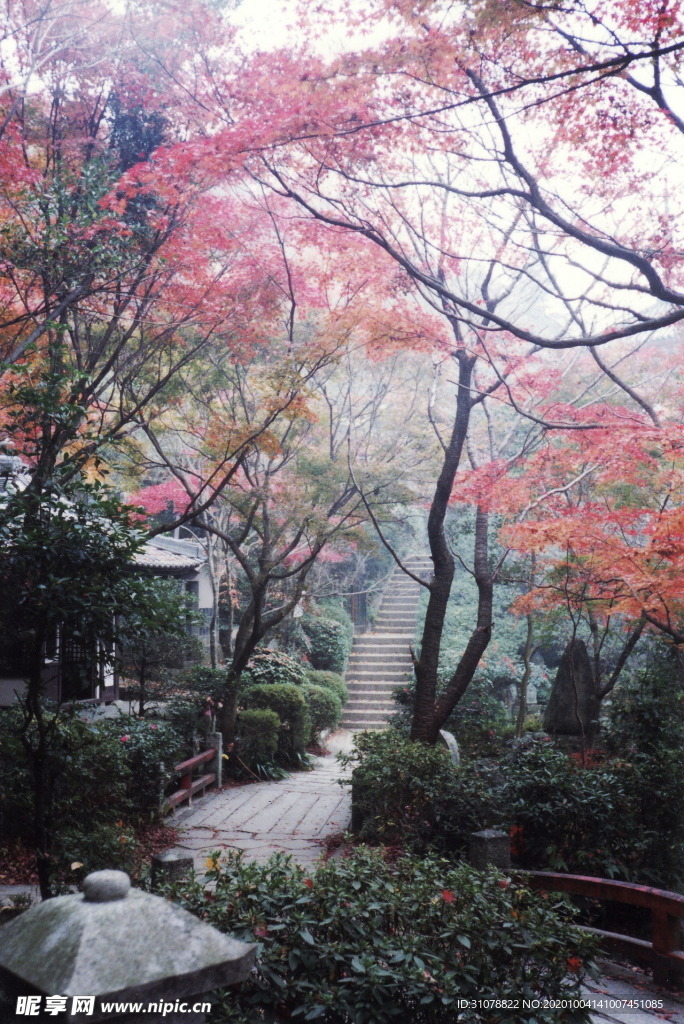 清新自然风景