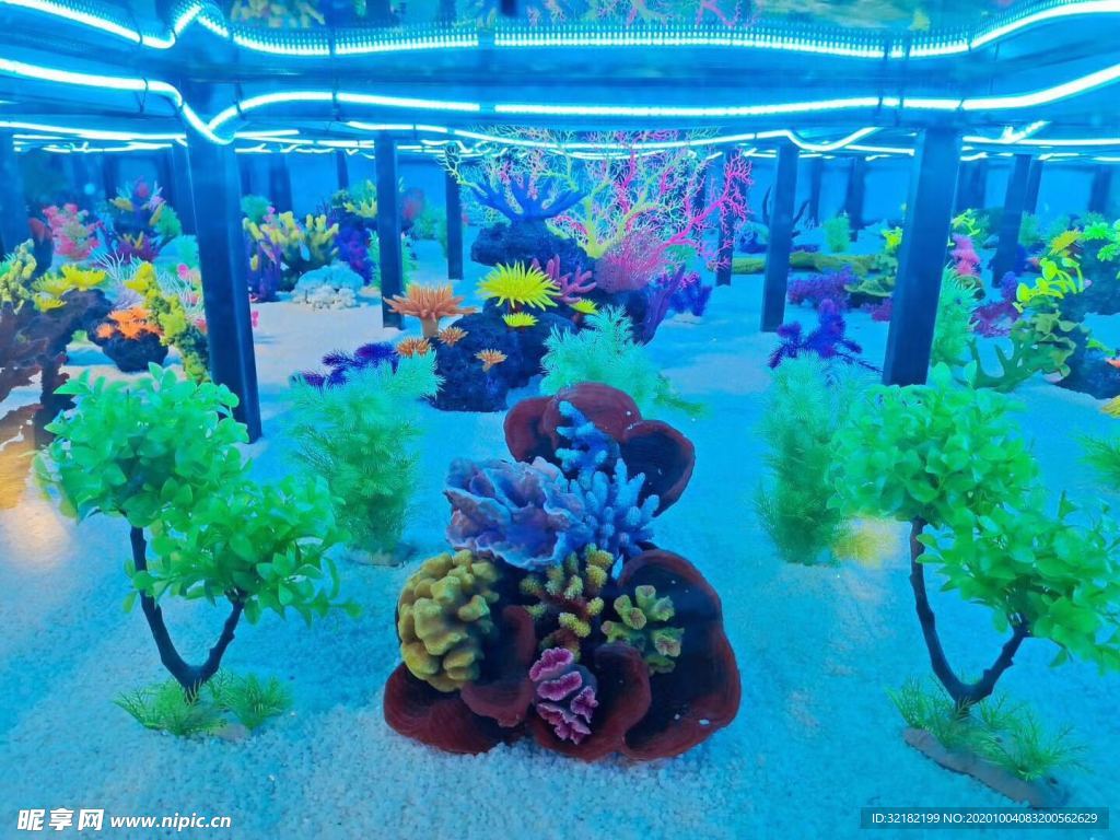 海洋馆