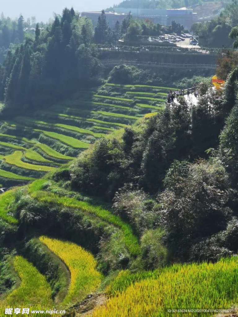 龙脊梯田