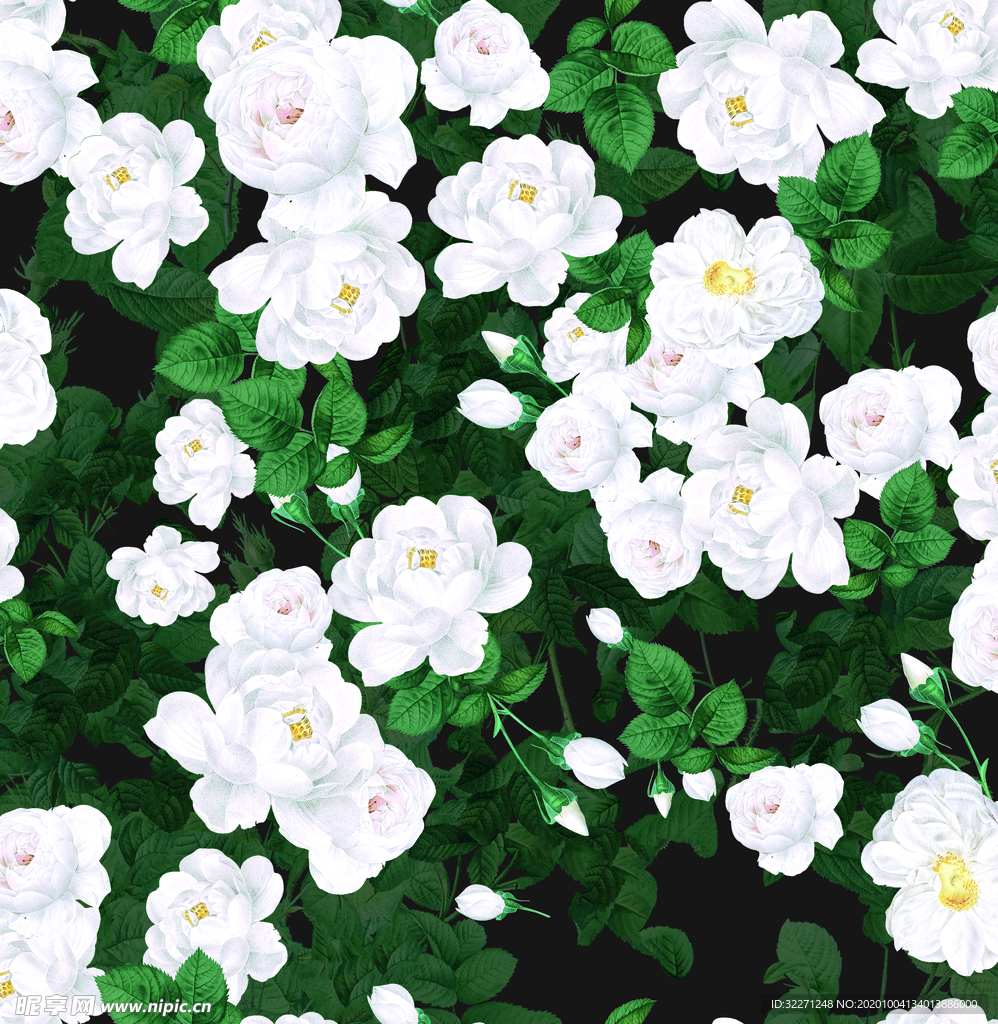 玫瑰花