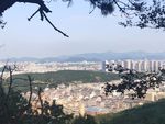 山野 鸟瞰图 城市 树 高楼
