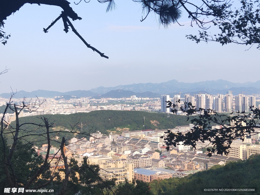 山野 鸟瞰图 城市 树 高楼