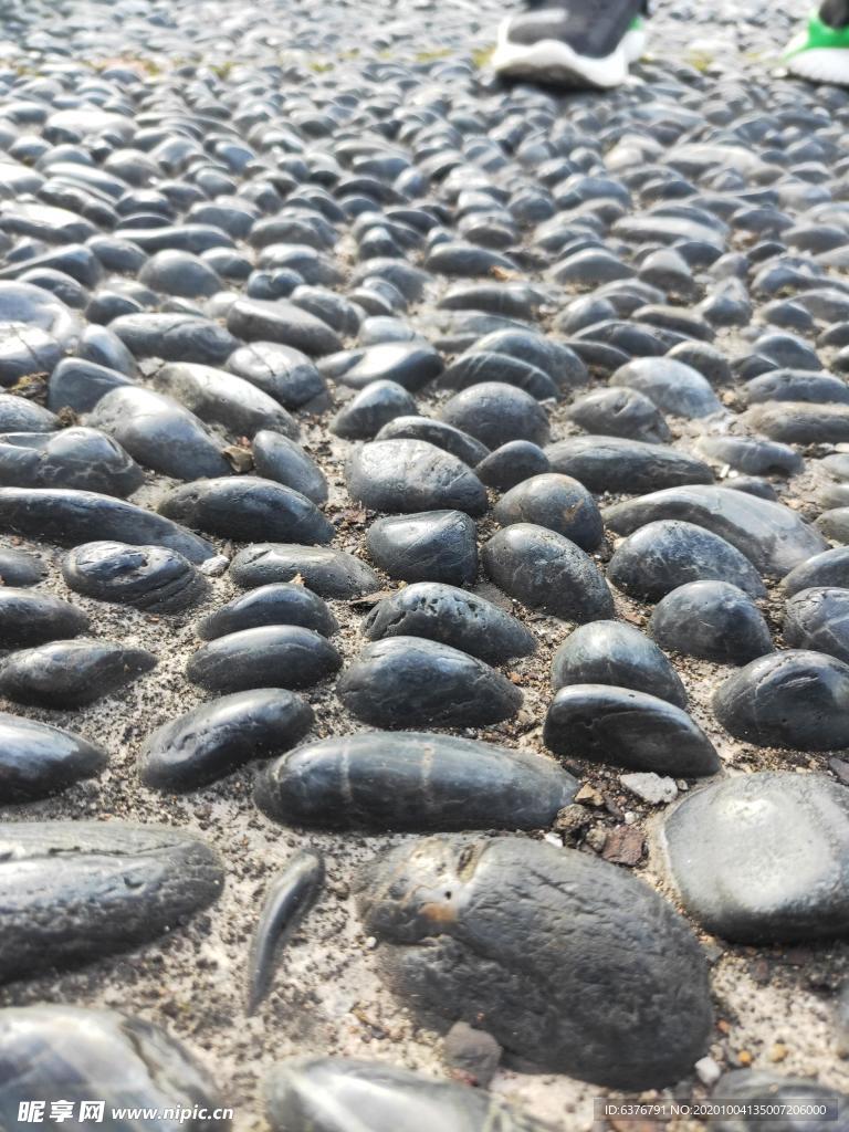 鹅卵石 石头 灰色 成片