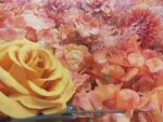 花丛 花朵 假花 塑料花 红色