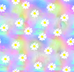 扎染菊花