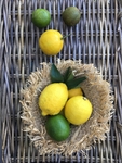 新鲜水果