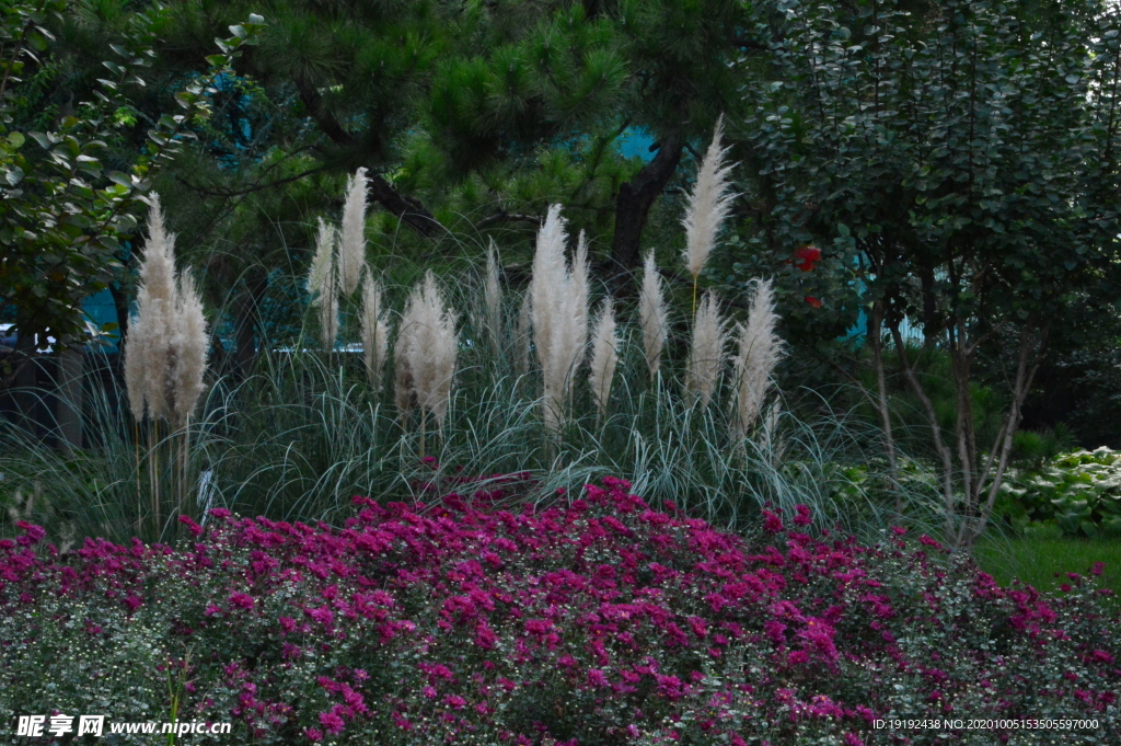 园林风景