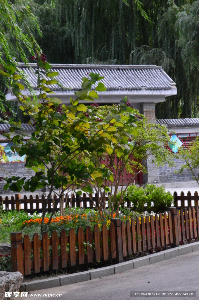 园林风景