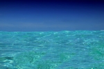 海水