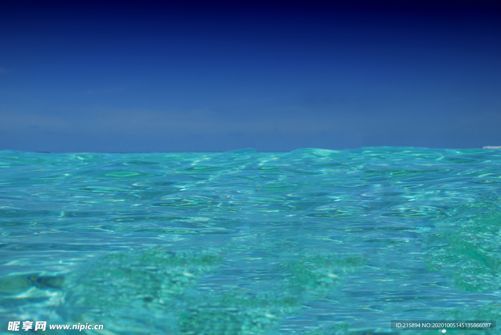 海水