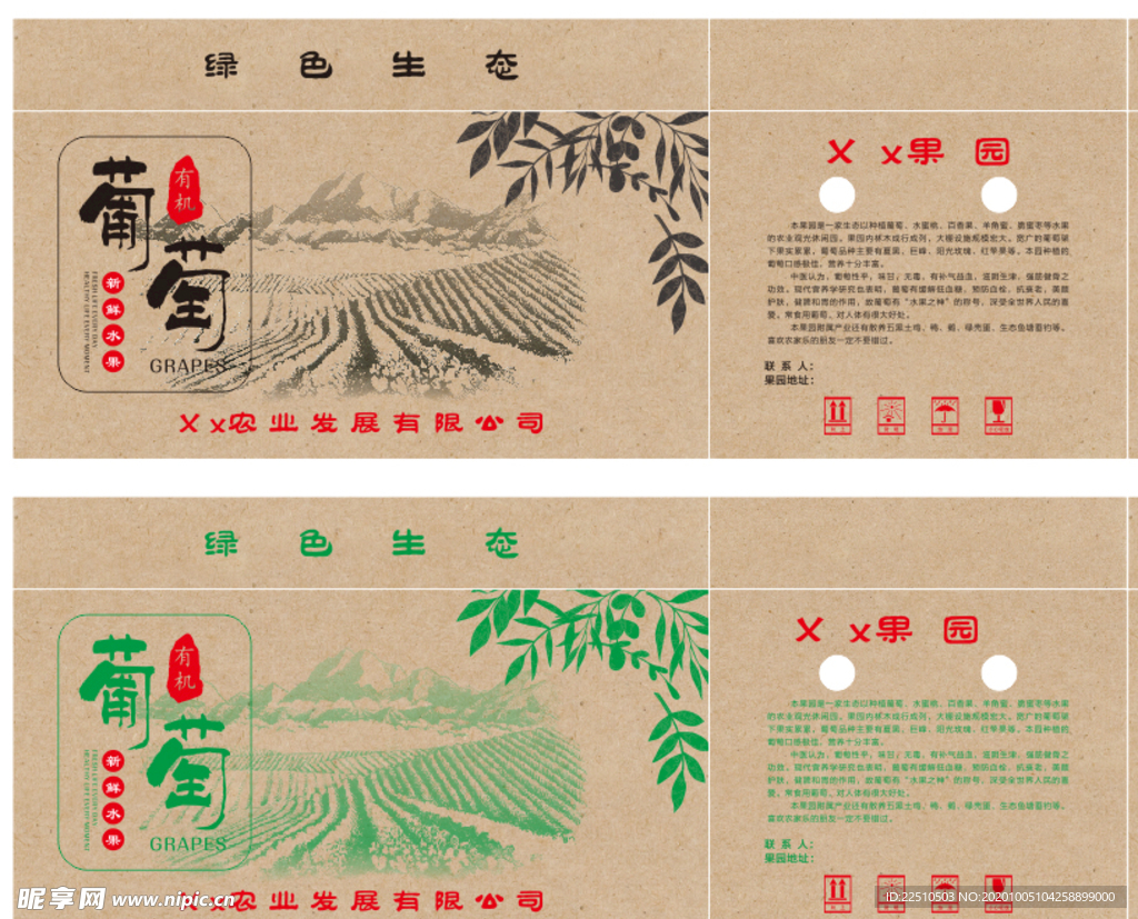 纸箱  特产  果园