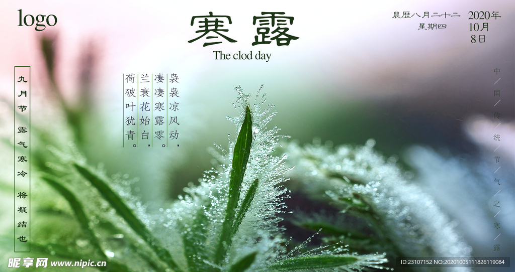 寒露海报