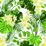 热带花