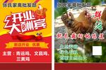 家禽批发
