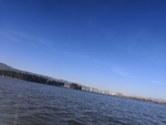 大海