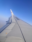 机翼