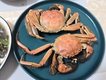 螃蟹