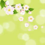 花背景