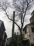 无锡古建筑
