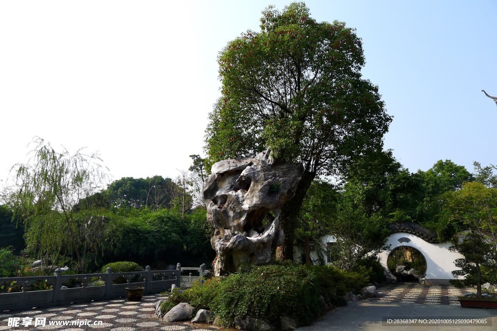 西溪湿地风景