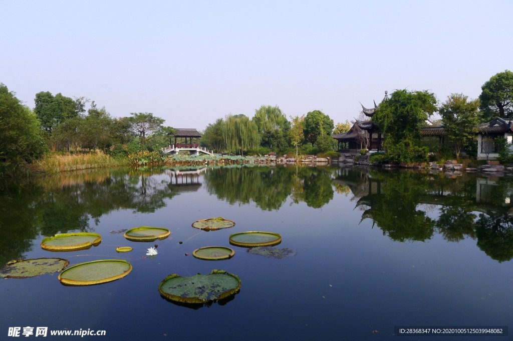 西溪湿地风景