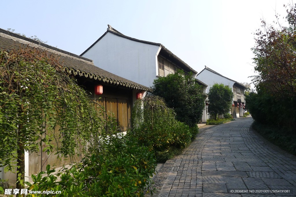 西溪湿地风景