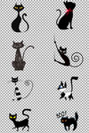 黑色猫咪