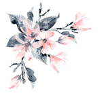 水彩淡色植物花朵