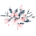 水彩淡色植物花朵