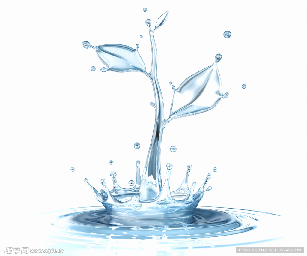 水花