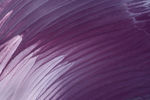 紫色油画油彩背景素材图