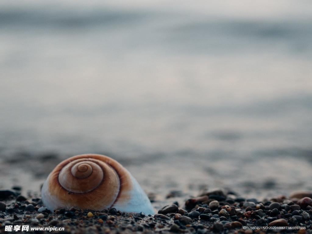 海边