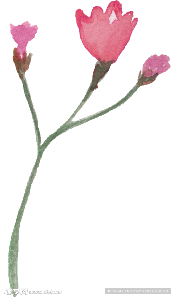 粉红 手绘 花朵 设计花型