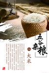 五谷杂粮之大米