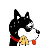 哈士奇