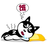 哈士奇