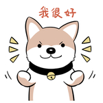 哈崽崽