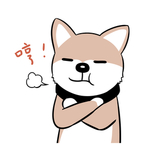 哈崽崽