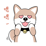 哈崽崽