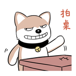 哈崽崽