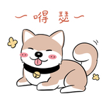 哈崽崽