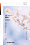 霜降海报