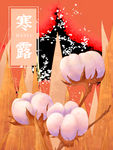 秋