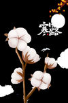 秋