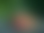 模糊背景图片素材