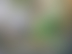 模糊背景图片素材