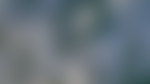 模糊背景图片素材