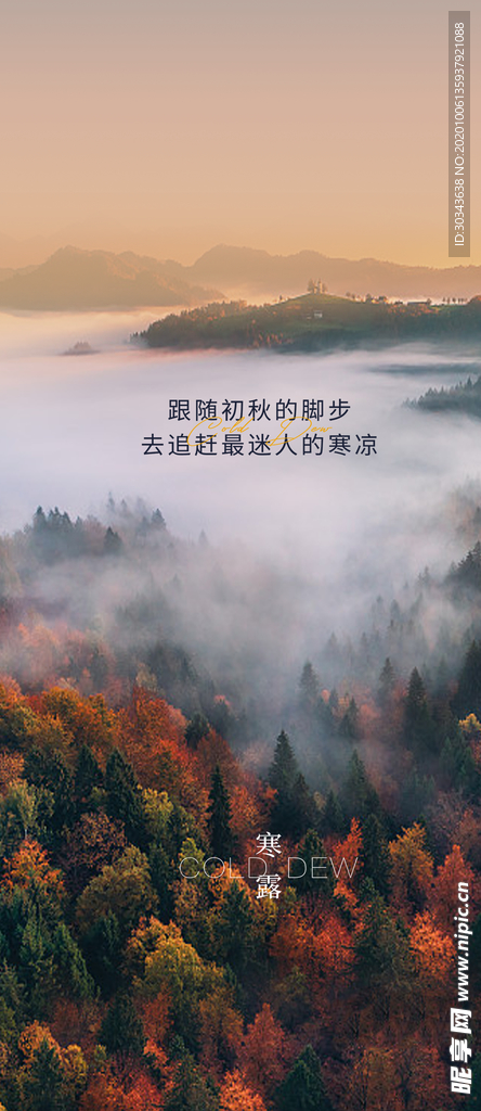 寒露 二十四节气 地产